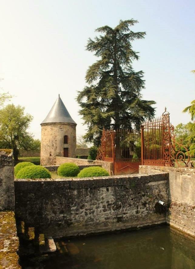 Logis De La Helberdiere Cossé-en-Champagne Exteriér fotografie